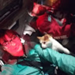 Meet your Posher, Hailey